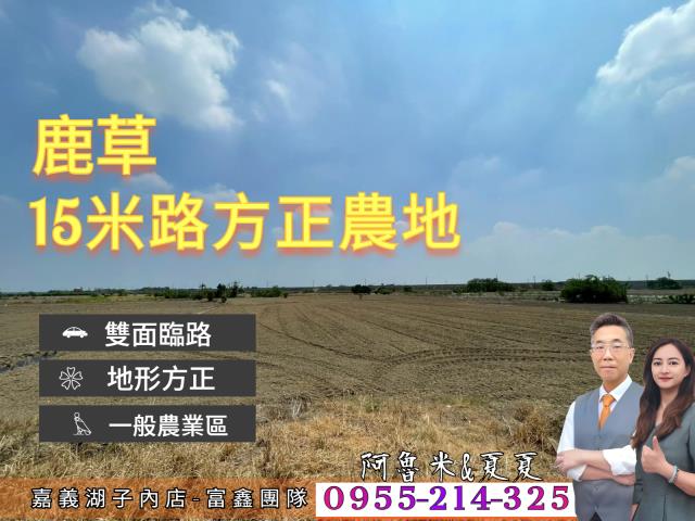 中埔別墅-1