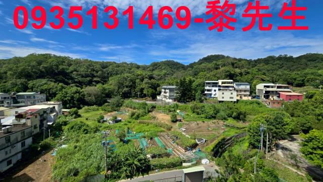 竹東華廈-2