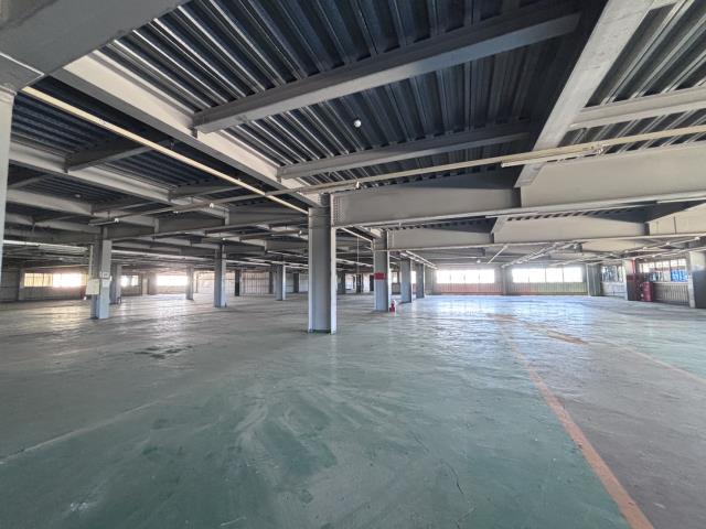 桃園大園廠房-2