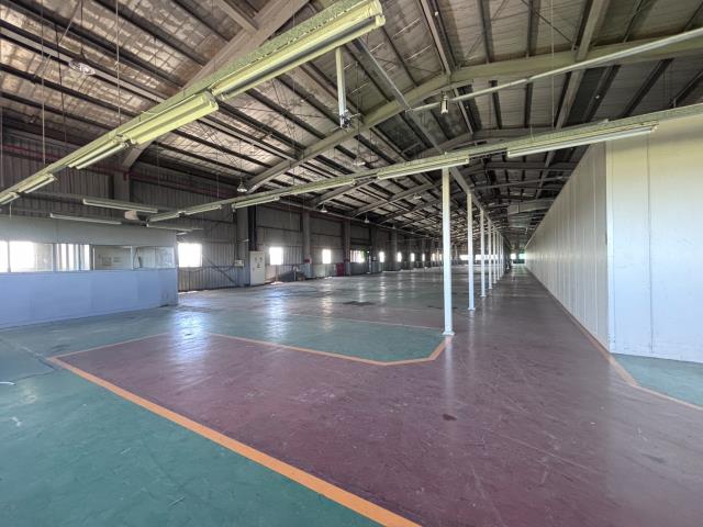 桃園大園廠房-5