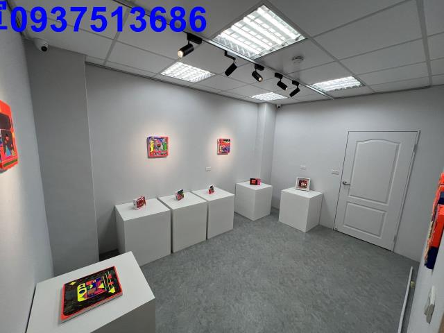 宜蘭羅東透天-11