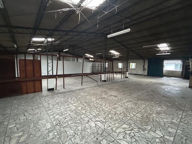 新北樹林廠房-2