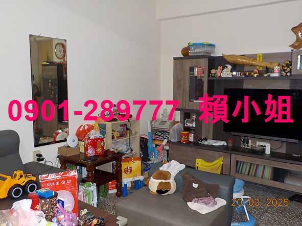 南投法拍透天-4