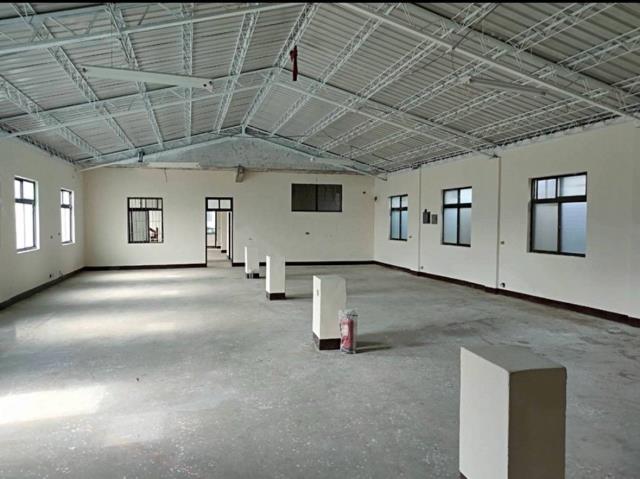 蘆竹廠房-3