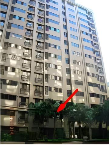 新北樹林大樓法拍-2