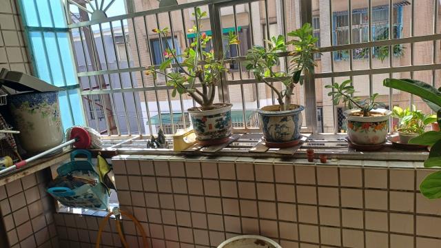 桃園中壢大樓-8