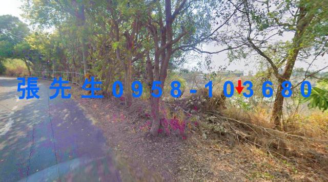 台中后里農舍法拍-7