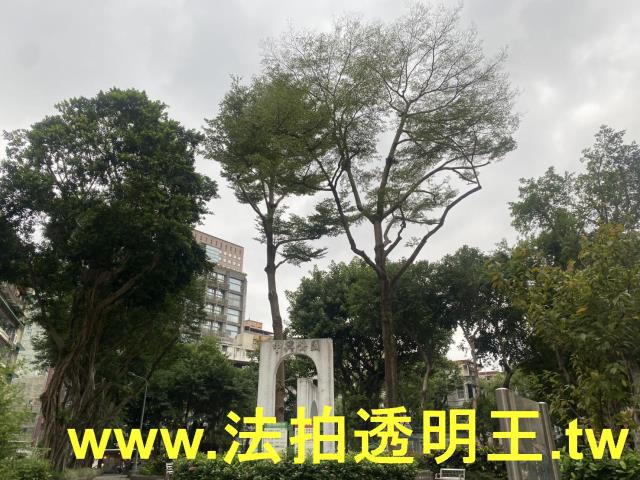 台北大樓拍賣-8