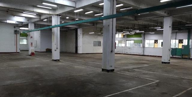 桃園八德廠房-2