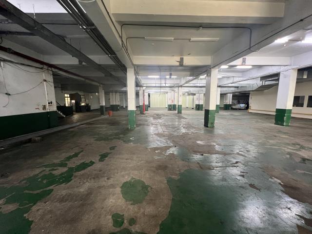 桃園區廠房-6