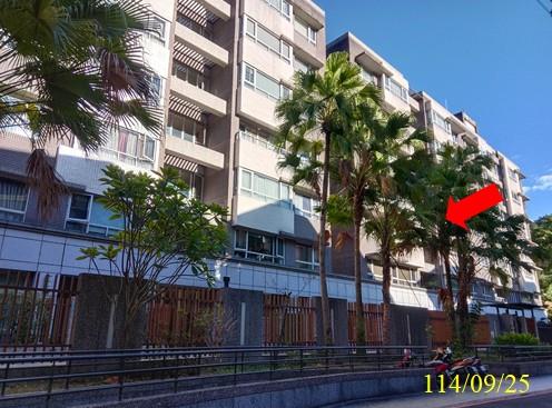 新北拍賣華廈-1