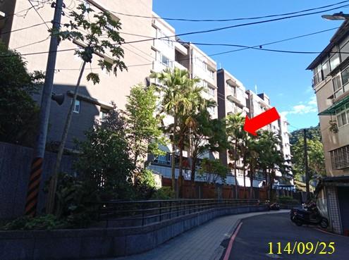 新北拍賣華廈-4