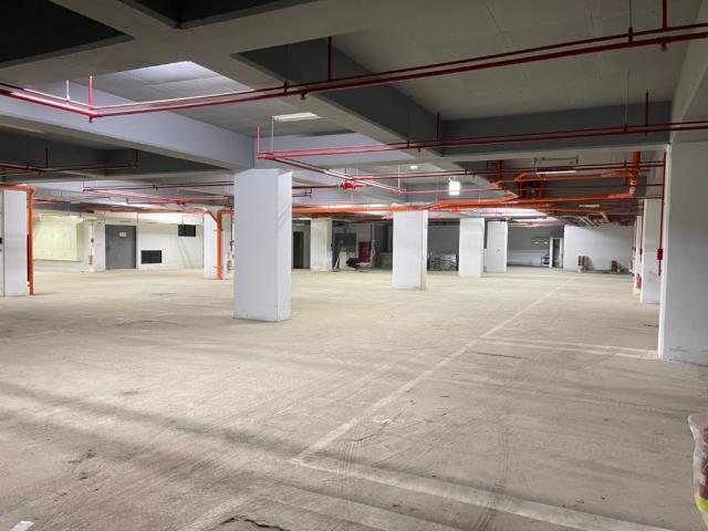 桃園中壢廠房-6