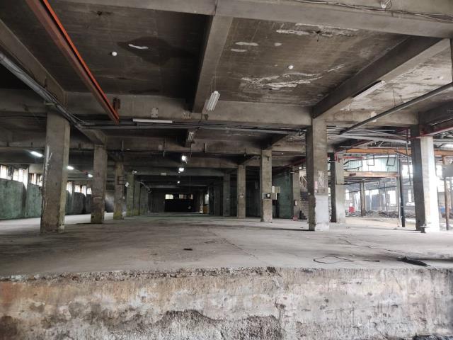 桃園龜山廠房-3