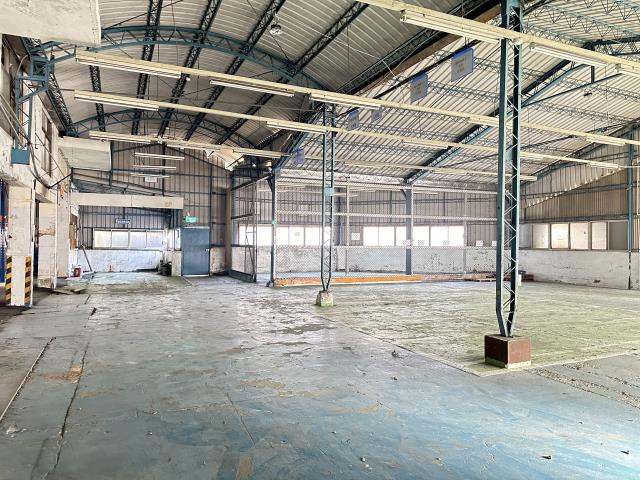 桃園中壢廠房-6