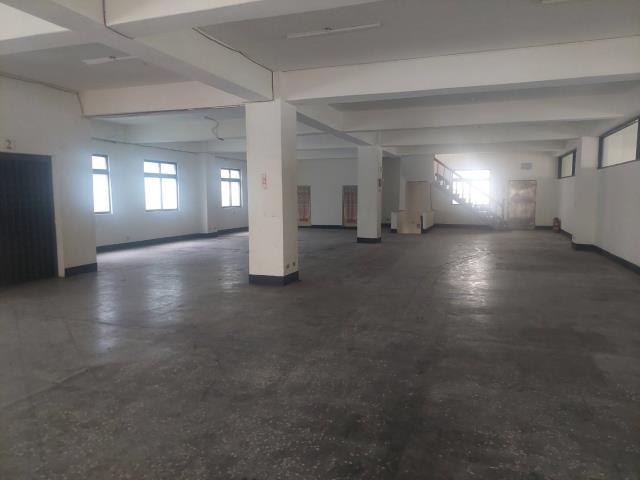 新北五股廠房-3