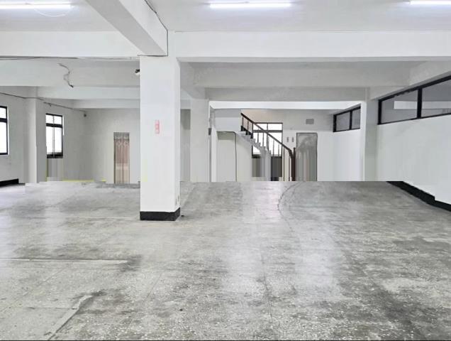 新北五股廠房-5