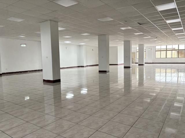 桃園蘆竹廠房-1