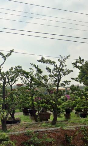 鹽水法拍農舍-12