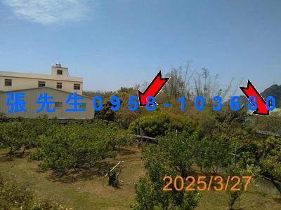 台中豐原法拍透天-3