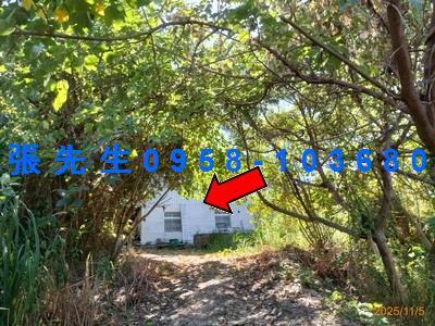 台中豐原法拍透天-4