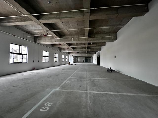 新北新莊廠房-5