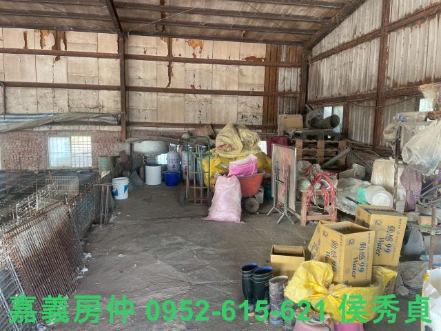 嘉義六腳牧場-3