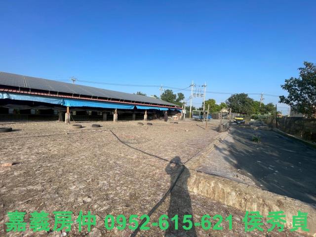 嘉義六腳牧場-9