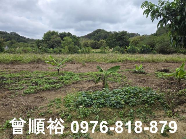 新竹竹東農舍-3