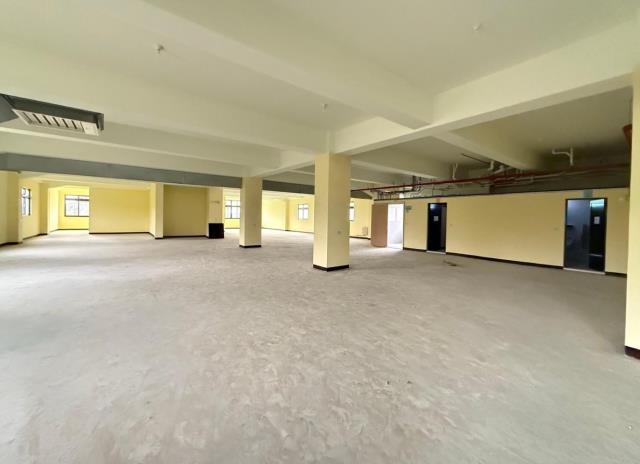 桃園中壢廠房-1