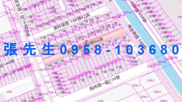 林園法拍透天-2