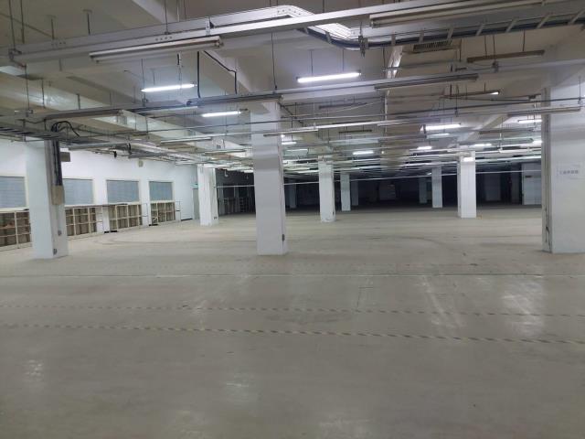 新北廠房-5