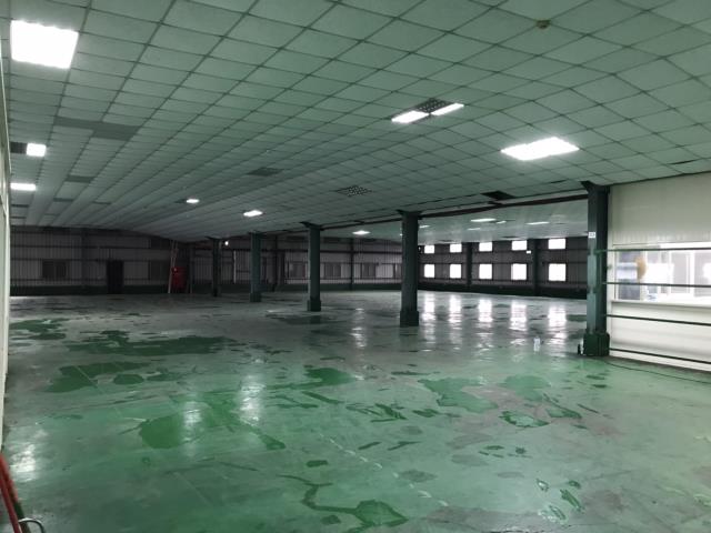 桃園龜山廠房-1