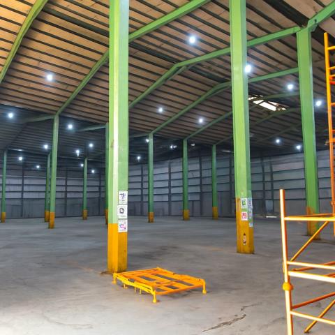 桃園大園廠房-2