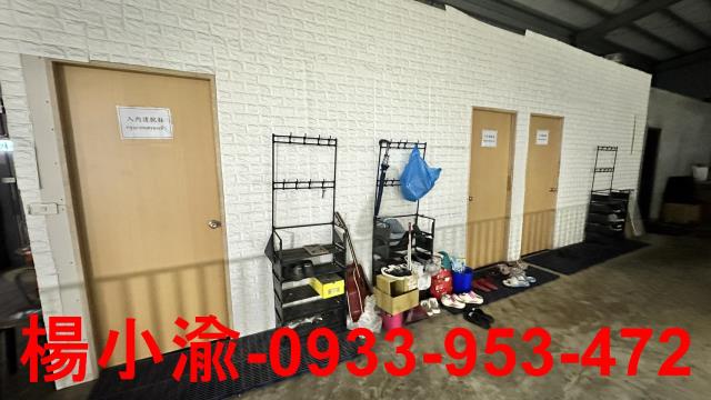 桃園龍潭廠房-3