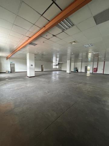 桃園龍潭廠房-4