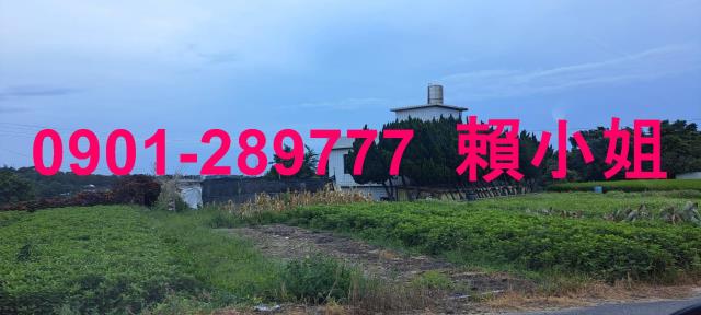 通霄拍賣透天-6