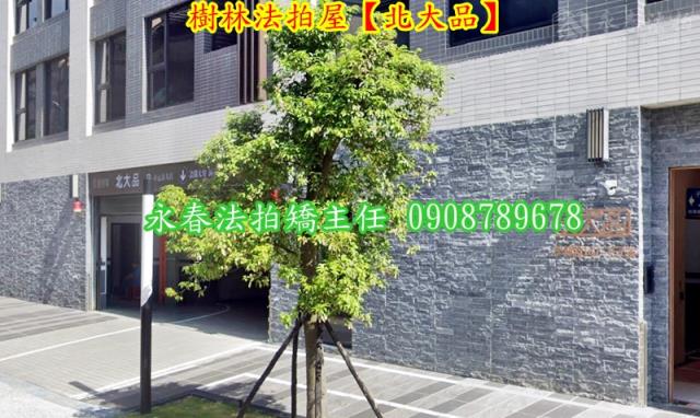 新北樹林華廈法拍-3