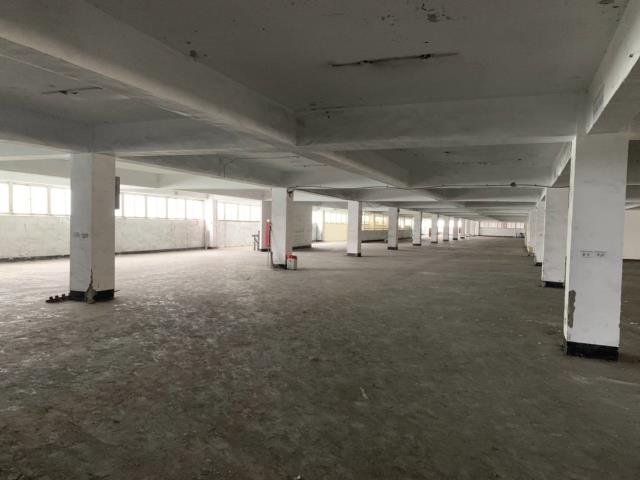 桃園觀音廠房-1