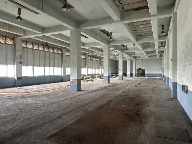 桃園觀音廠房-2