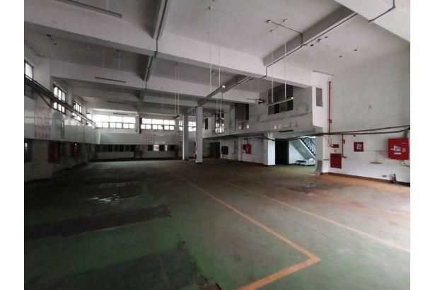 桃園中壢廠房-1