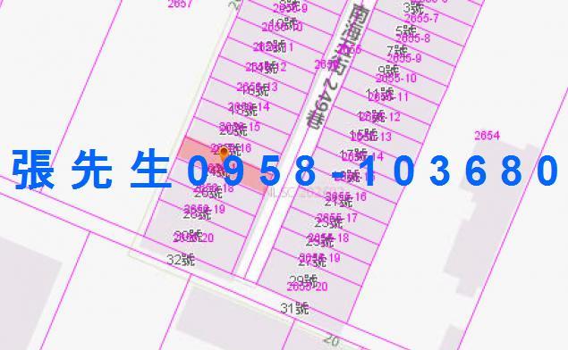 花蓮法拍透天-3