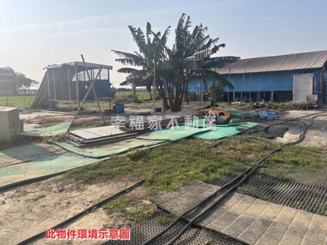 後壁畜牧設施雞舍-11
