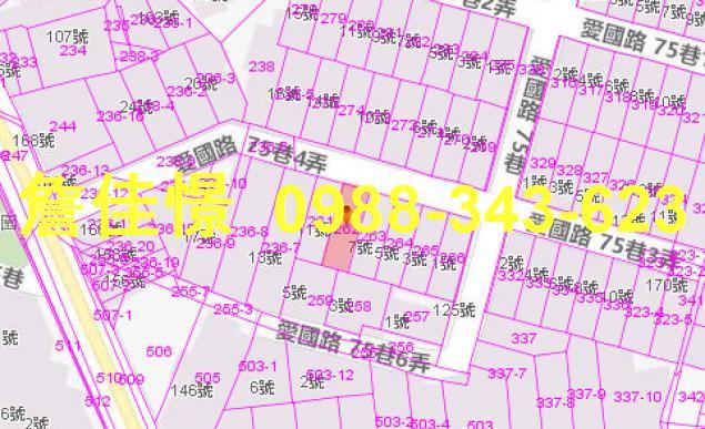 羅東法拍透天-2