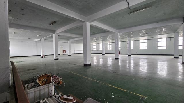 桃園中壢廠房-2