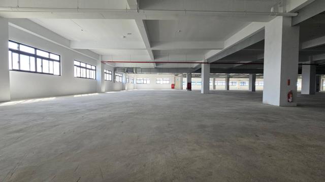 桃園新屋廠房-4