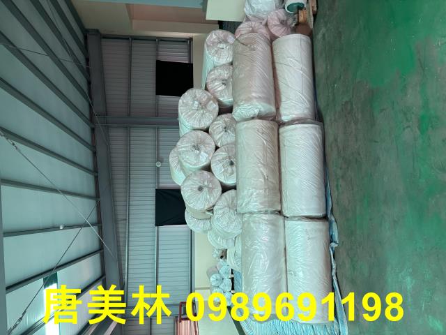 桃園龍潭廠房-10