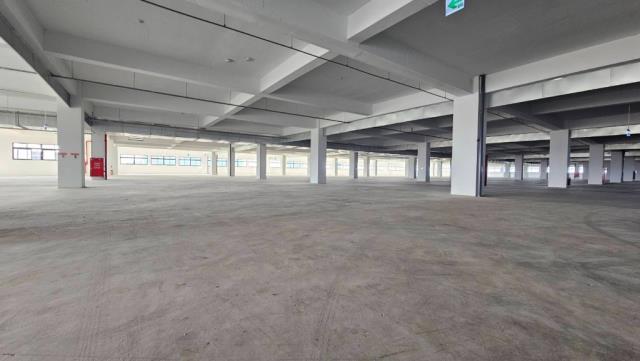 桃園新屋廠房-4