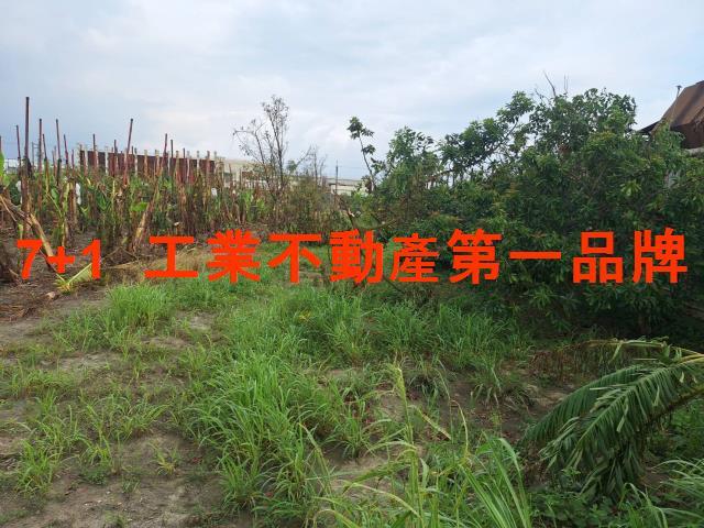 高雄大寮廠房-1
