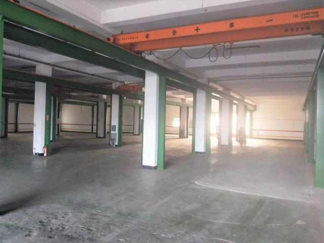 桃園廠房-1